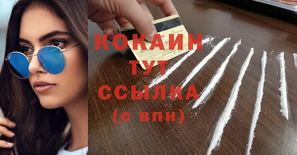 тгк Алексин