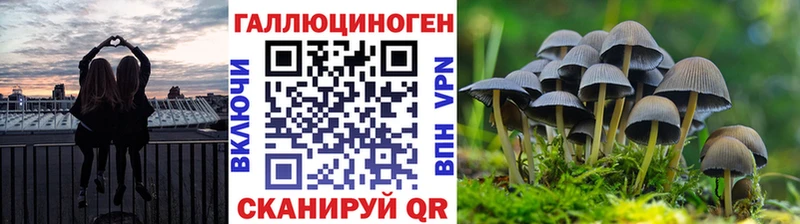 ОМГ ОМГ как войти  Сарапул  Псилоцибиновые грибы Magic Shrooms 
