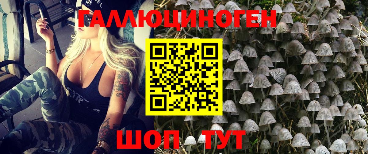 Галлюциногенные грибы Magic Shrooms Сарапул