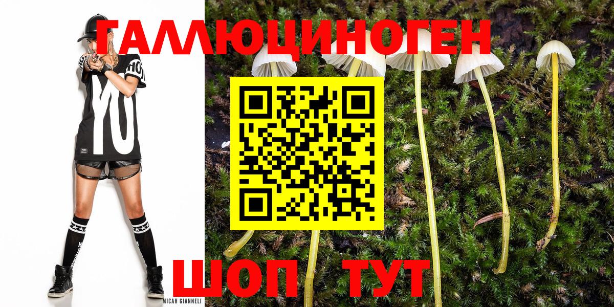Сарапул  Галлюциногенные грибы мицелий  Вход с VPN 